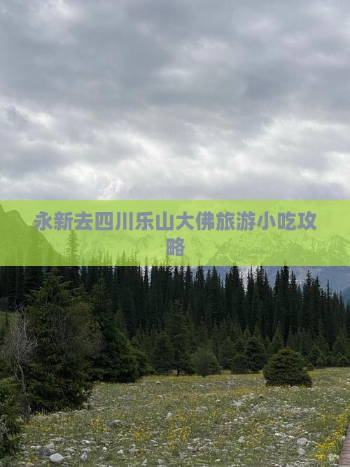 永新去四川乐山大佛旅游小吃攻略