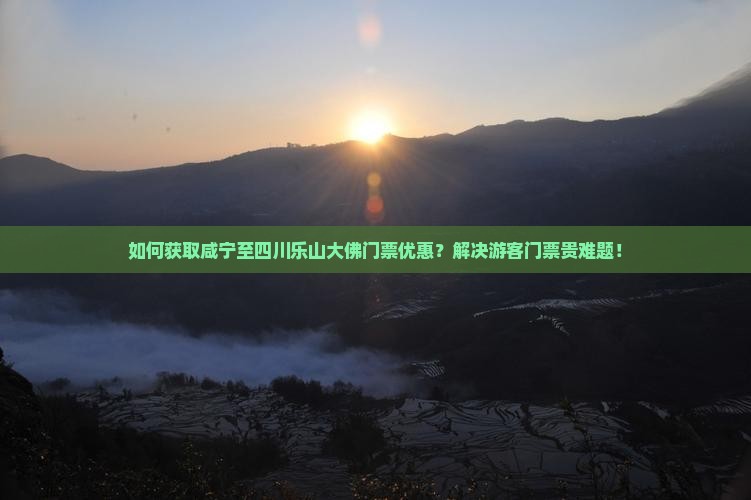 如何获取咸宁至四川乐山大佛门票优惠？解决游客门票贵难题！