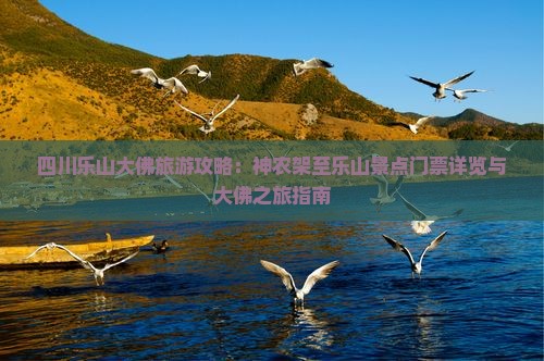 四川乐山大佛旅游攻略：神农架至乐山景点门票详览与大佛之旅指南