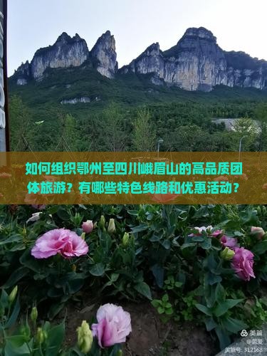 如何组织鄂州至四川峨眉山的高品质团体旅游？有哪些特色线路和优惠活动？