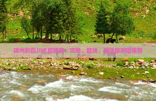 锦州到四川成都旅游：攻略、路线、精选旅游团推荐