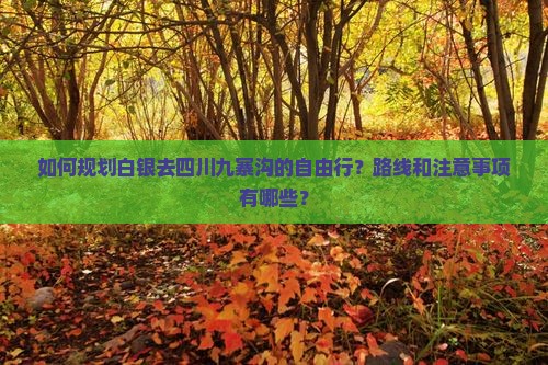 如何规划白银去四川九寨沟的自由行？路线和注意事项有哪些？