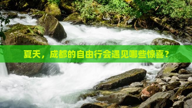 夏天，成都的自由行会遇见哪些惊喜？