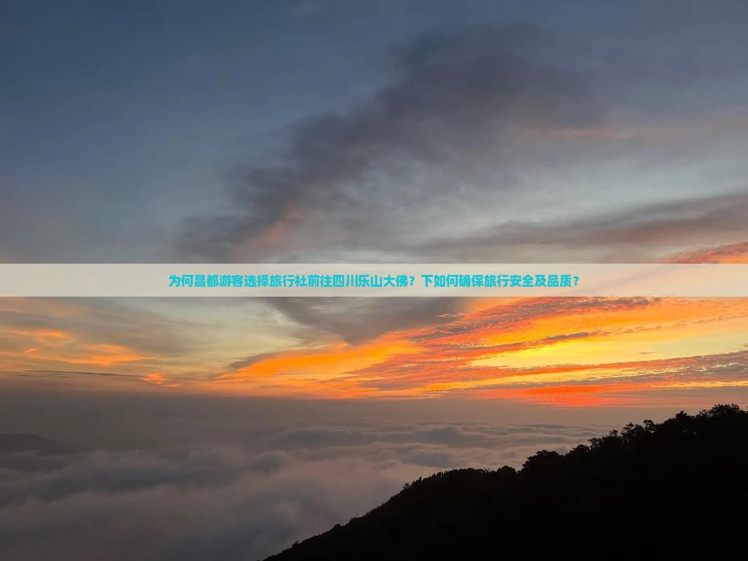 为何昌都游客选择旅行社前往四川乐山大佛？下如何确保旅行安全及品质？