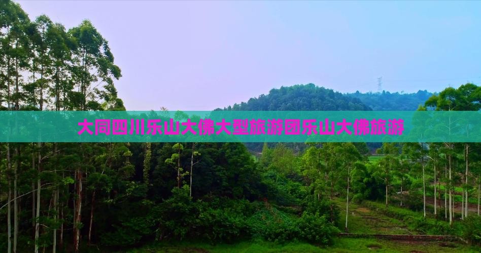 大同四川乐山大佛大型旅游团乐山大佛旅游