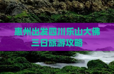 惠州出发四川乐山大佛三日旅游攻略
