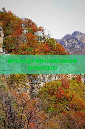 如何规划遵义至四川青城山四日游的行程与攻略？