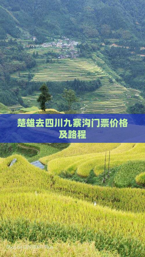楚雄去四川九寨沟门票价格及路程