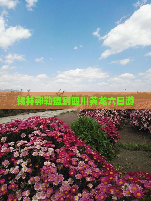 锡林郭勒盟到四川黄龙六日游