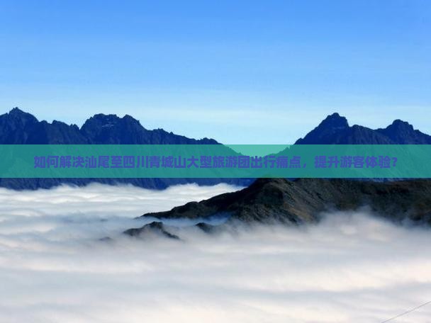 如何解决汕尾至四川青城山大型旅游团出行痛点，提升游客体验？
