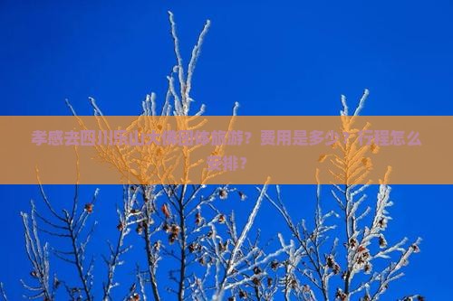 孝感去四川乐山大佛团体旅游？费用是多少？行程怎么安排？