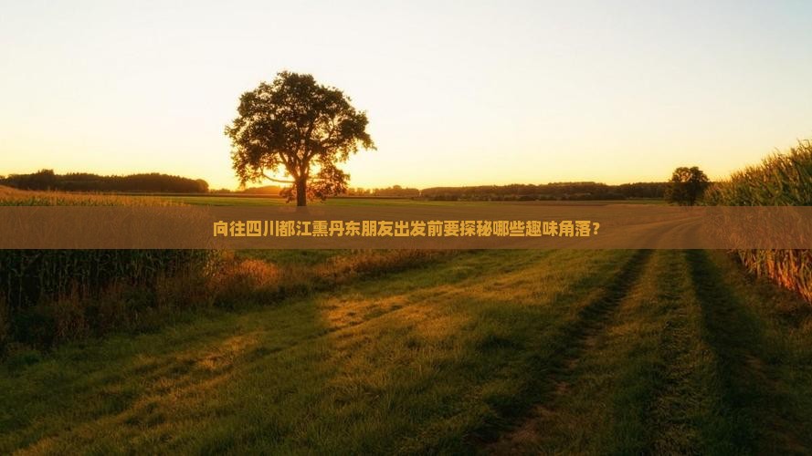 向往四川都江熏丹东朋友出发前要探秘哪些趣味角落？