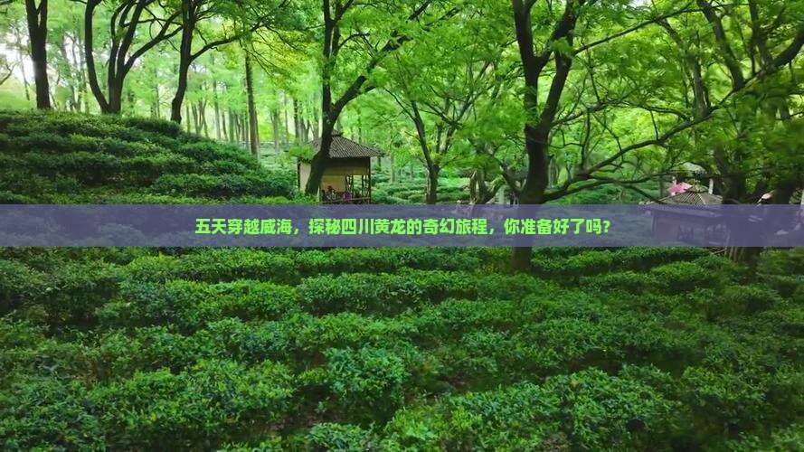 五天穿越威海，探秘四川黄龙的奇幻旅程，你准备好了吗？