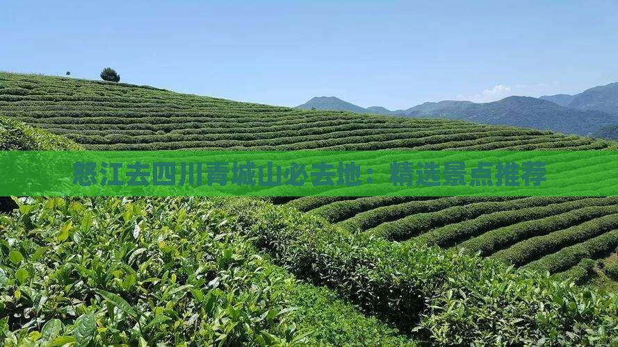 怒江去四川青城山必去地：精选景点推荐