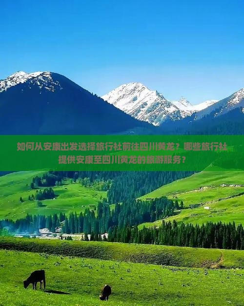 如何从安康出发选择旅行社前往四川黄龙？哪些旅行社提供安康至四川黄龙的旅游服务？