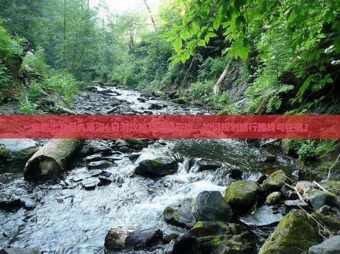 成都出发至九寨沟6日游攻略及行程安排，如何规划旅行路线与住宿？