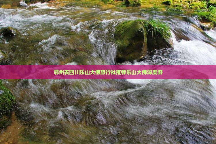 鄂州去四川乐山大佛旅行社推荐乐山大佛深度游