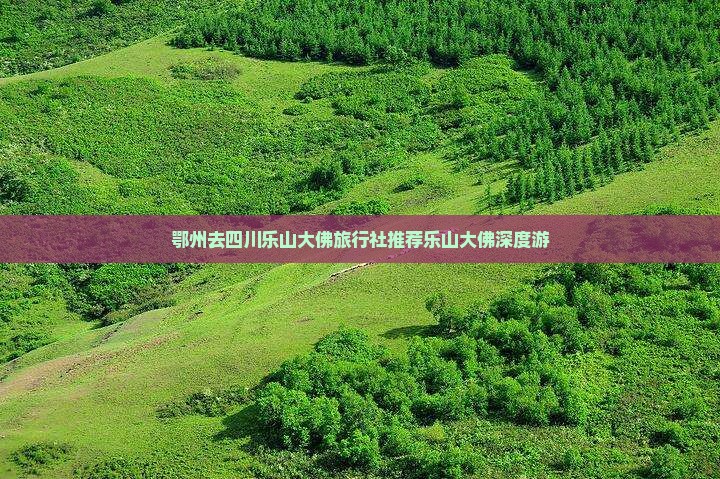 鄂州去四川乐山大佛旅行社推荐乐山大佛深度游