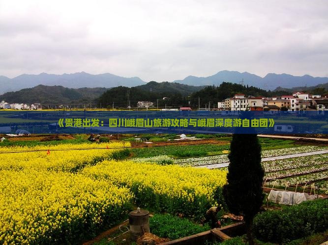 《贵港出发：四川峨眉山旅游攻略与峨眉深度游自由团》