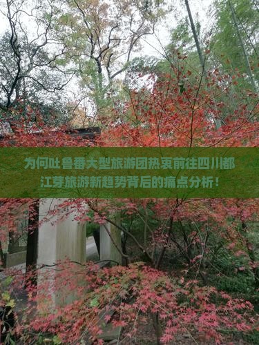 为何吐鲁番大型旅游团热衷前往四川都江芽旅游新趋势背后的痛点分析！