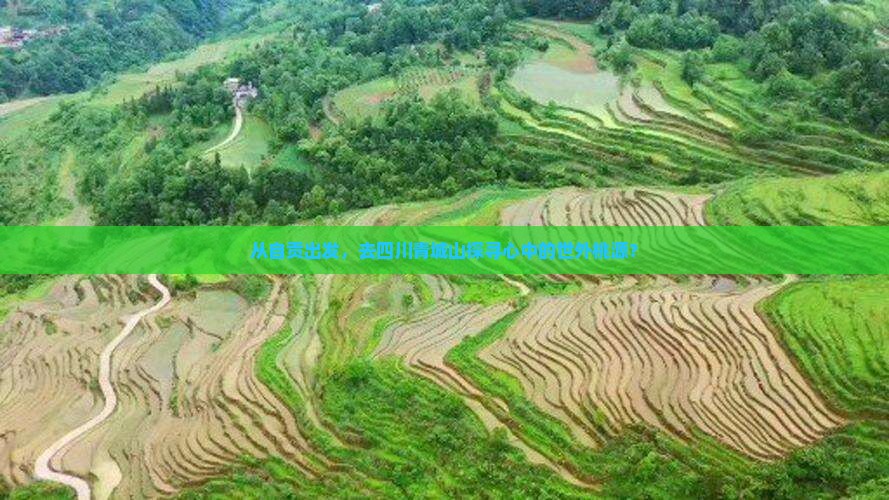 从自贡出发，去四川青城山探寻心中的世外桃源？