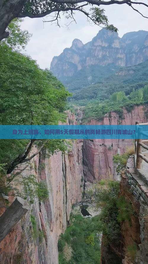 身为上班族，如何用5天假期从鹤岗畅游四川青城山？