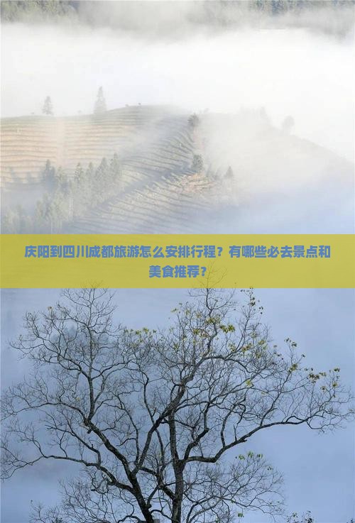 庆阳到四川成都旅游怎么安排行程？有哪些必去景点和美食推荐？