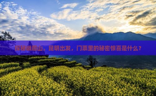 探秘峨眉山，昆明出发，门票里的秘密惊喜是什么？