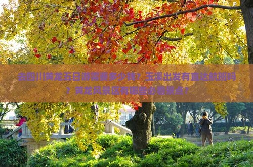 去四川黄龙五日游需要多少钱？玉溪出发有直达航班吗？黄龙风景区有哪些必看景点？