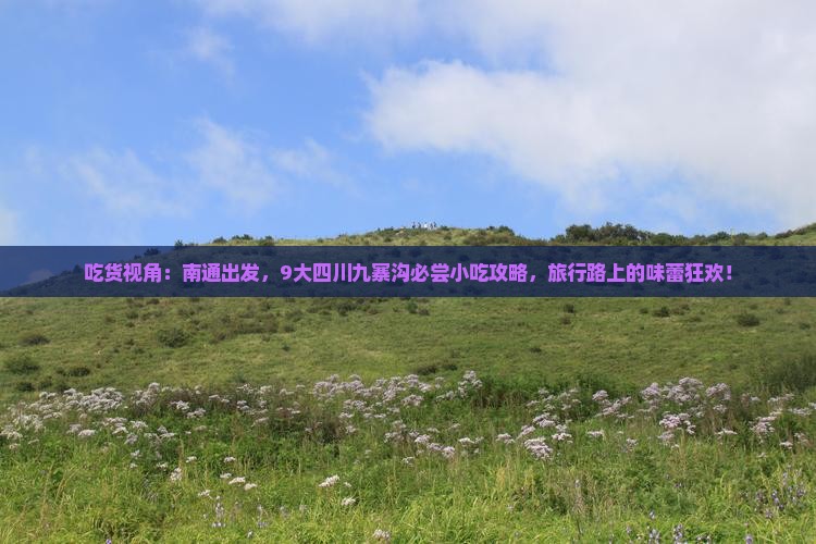吃货视角：南通出发，9大四川九寨沟必尝小吃攻略，旅行路上的味蕾狂欢！