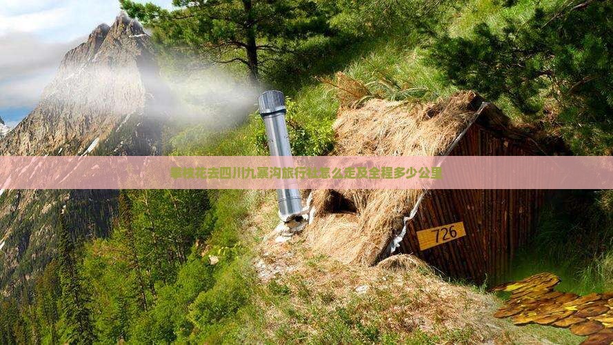 攀枝花去四川九寨沟旅行社怎么走及全程多少公里