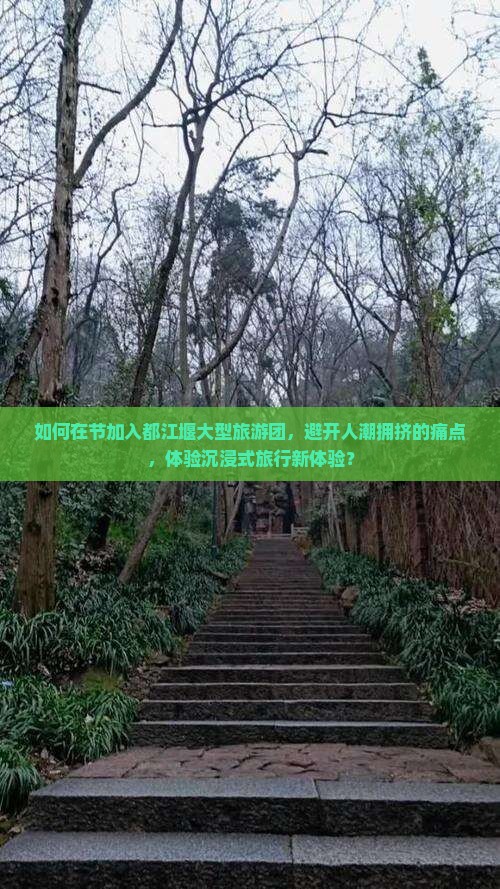 如何在节加入都江堰大型旅游团，避开人潮拥挤的痛点，体验沉浸式旅行新体验？
