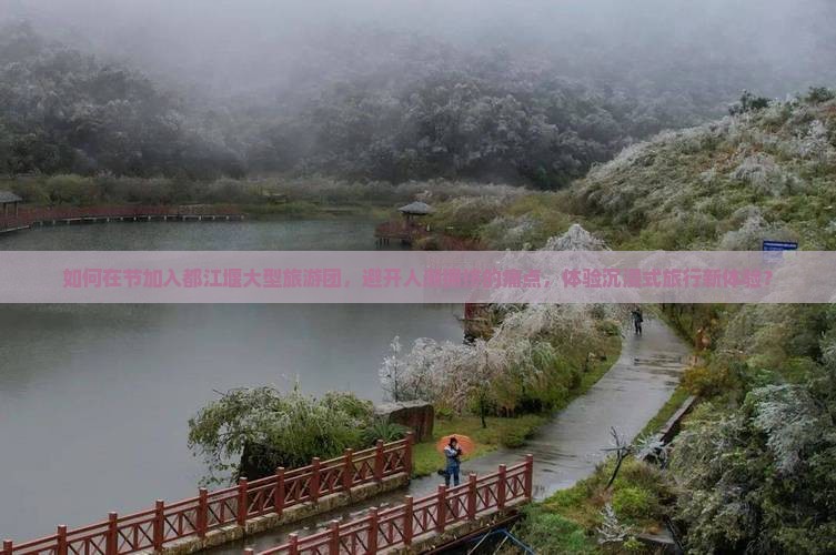 如何在节加入都江堰大型旅游团，避开人潮拥挤的痛点，体验沉浸式旅行新体验？