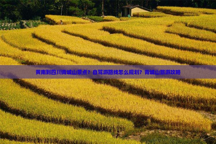 黄南到四川青城山景点？自驾游路线怎么规划？青城山旅游攻略