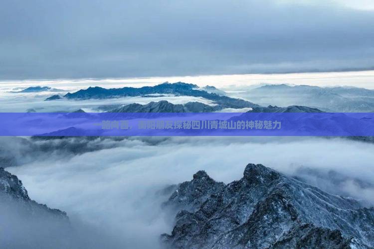 一路向西，衡阳朋友探秘四川青城山的神秘魅力