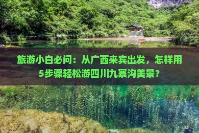 旅游小白必问：从广西来宾出发，怎样用5步骤轻松游四川九寨沟美景？