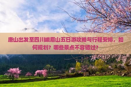 唐山出发至四川峨眉山五日游攻略与行程安排，如何规划？哪些景点不容错过？