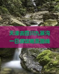 天津去四川九寨沟一日游攻略及路线、费用，跟团游与自由行方案