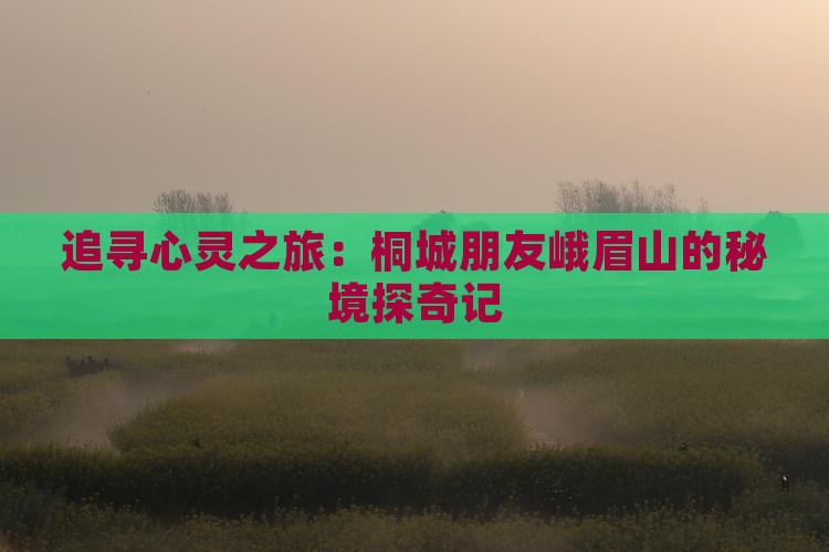 追寻心灵之旅：桐城朋友峨眉山的秘境探奇记