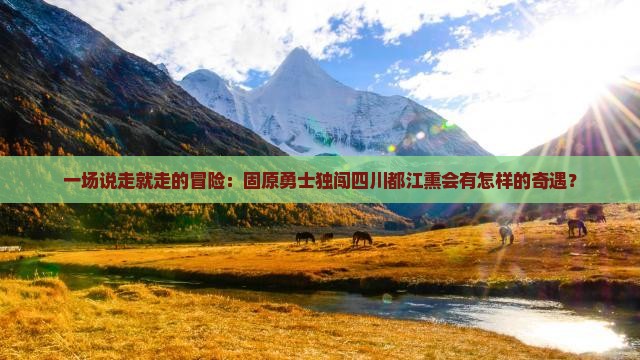 一场说走就走的冒险：固原勇士独闯四川都江熏会有怎样的奇遇？