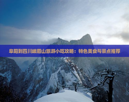 阜阳到四川峨眉山旅游小吃攻略：特色美食与景点推荐