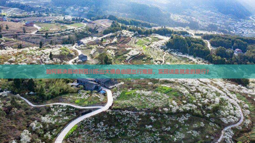 如何解决廊坊到四川乐山大佛自由团出行难题，实现说走就走的旅行？