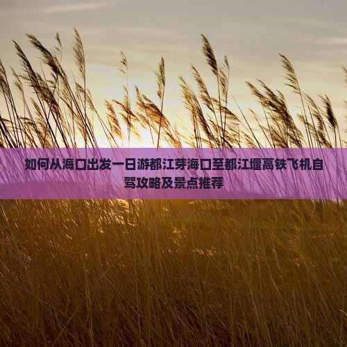 如何从海口出发一日游都江芽海口至都江堰高铁飞机自驾攻略及景点推荐