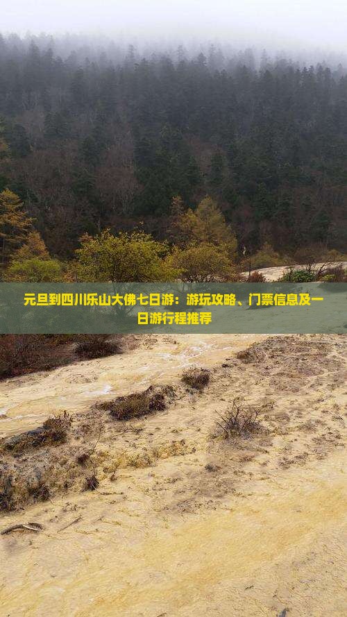 元旦到四川乐山大佛七日游：游玩攻略、门票信息及一日游行程推荐