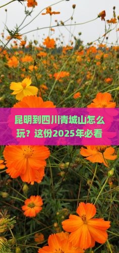 昆明到四川青城山攻略