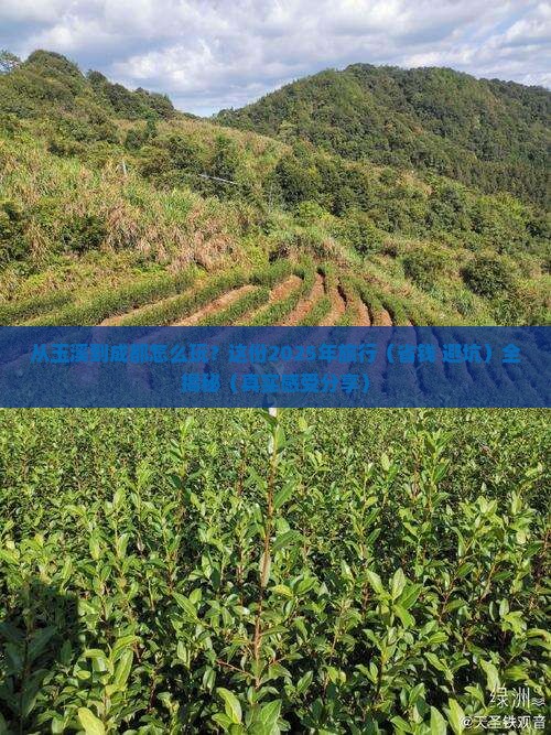 玉溪去四川成都旅行社 玉溪去四川成都旅行社
