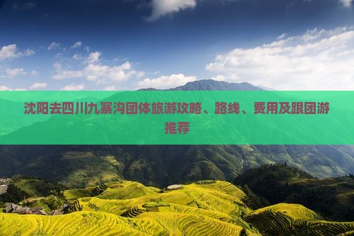 沈阳去四川九寨沟团体旅游