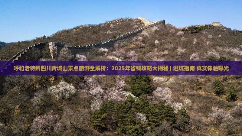 呼和浩特到四川青城山景点
