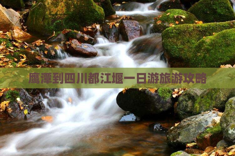 鹰潭去四川都江堰自由行