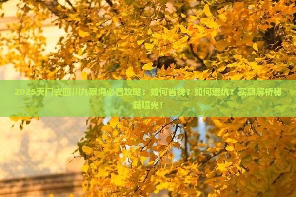 天门去四川九寨沟攻略